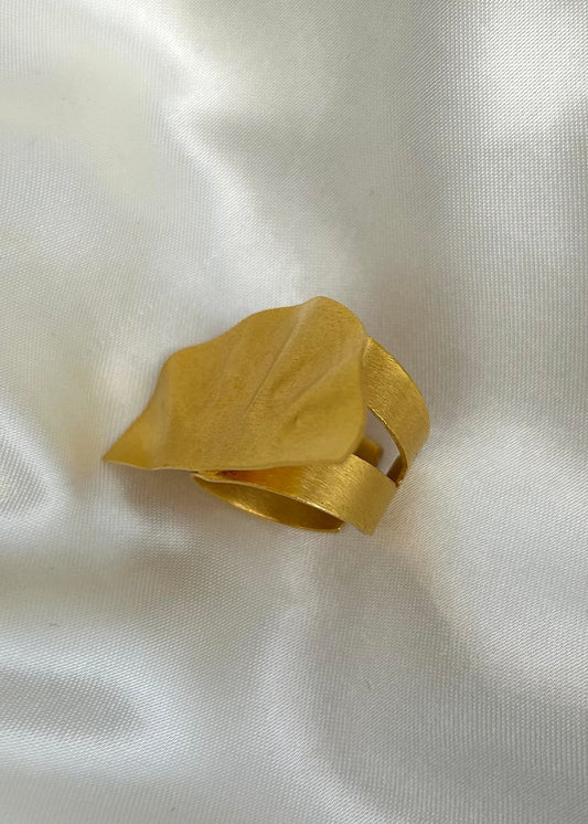 Abanico Ring